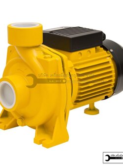 VALU ปั๊มหอยโข่ง 2 HP 2นิ้ว และ1HP 1นิ้ว รุ่น VHF5AN และ VJSW10M VJS100