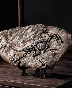 C1009B025 FAMITOSS ของแต่งห้อง ของขวัญ ฟอสซิลจำลอง ไดโนเสาร์ DINORSAUR FOSSIL แต่งห้อง ตกแต่งห้อง ตั้งโชว์ แต่งร้าน