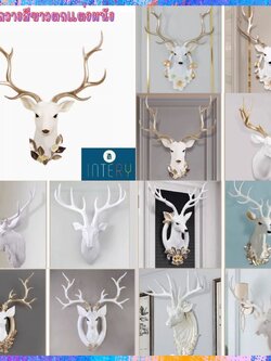 CT222G023 SOSHOKU หัวกวางสีขาวตกแต่งผนัง หัวกวาง ตกแต่งผนัง Nordic