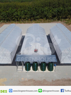 โรงเรือนจั่วโค้ง2ชั้น ขนาด6x20ม. จำนวน3หลัง จ.ฉะเชิงเทรา