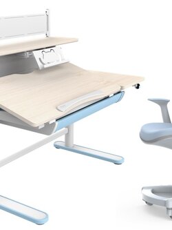 FlexiSpot by Essen Single Motor Electric Height Adjustable Desk Set for Kids with Book Shelf and Ergonomic Chair (CD201)