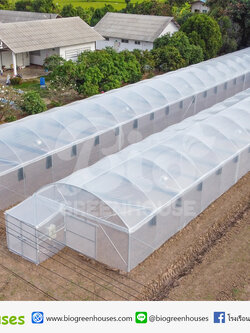 โรงเรือนจั่วโค้ง ขนาด6x50ม. จำนวน2หลัง จ.สุพรรณบุรี