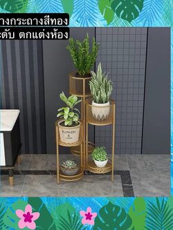 TS061J009 TROPACL ชั้นวางกระถางต้นไม้สีทองไล่ระดับ ชั้นวางของ ชั้นวางต้นไม้ ชั้นวางสีทอง GOLD SHELF