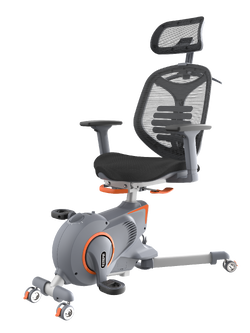 FlexiSpot by Essen All-in-One Ergonomic Chair Bike (V10) - Grey/Black