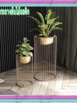CT060D020 TROPACL กระถางต้นไม้นอดิก กระถางทรงสูงสีทอง กระถางต้นไม้ ตกแต่งห้อง สวยหรู #กระถางต้นไม้นอดิก #กระถางต้นไม้
