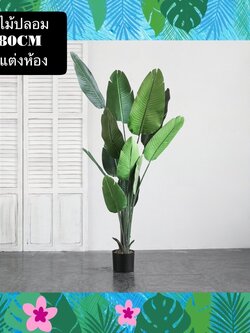 TS061J014 TROPACL ต้นไม้ปลอม ต้นไม้ประดับ Traveler banana 180ซม. ต้นไม้แต่งห้อง ต้นไม้ทรงสูง ARTIFICIAL PLAN ตกแต่งบ้านT