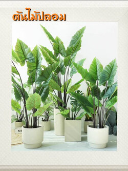 CT183D083 TROPACL ต้นไม้ปลอม ต้นไม้แต่งบ้าน