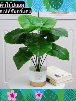 TS061J016 TROPACL ต้นไม้ปลอม ต้นเสน่จันแดง พร้อมกระถางขอบทอง ต้นไม้ประดับ ต้นไม้แต่งห้อง ARTIFICIAL PLANT ตกแต่งบ้าน