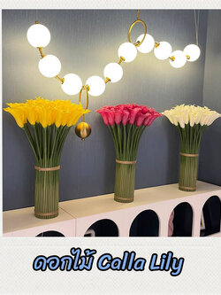 CT182E027 DECHOME ดอกไม้ Calla Lily ดอกไม้ปลอม ดอกไม้ตกแต่งโต๊ะ ดอกไม้ตกแต่งบ้าน