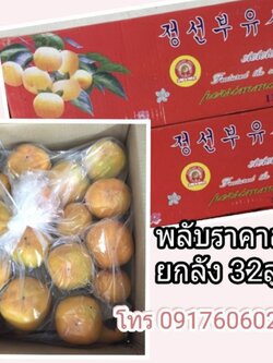 พลับเกาหลี พลับญี่ปุ่น พลับแห้ง ลูกพลับ ลูกพลับสด พลับสด ลูกพลับเกาหลี พลับราคาส่ง ขายส่งลูกพลับ พลับอร่อย