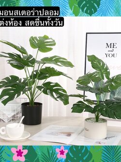 TS061J008 TROPACL ต้นมอนสเตล่าพร้อมกระถางดำ ต้นมอนสเตอร่า มอนสเตอร์ร่าปลอม ต้นไม้ปลอม ARTIFICIAL PLANT ต้นมอนสเตอร่าปลอม