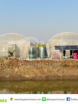 โรงเรือนจั่วโค้ง ขนาด 6x14x3.8 ม. พร้อมงานระะบบ จำนวน2หลัง จ.ชัยภูมิ