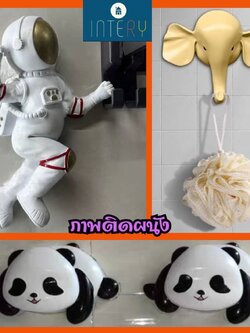 CT222G028 SOSHOKU ภาพดอกไม้ติดผนัง มนุษย์อวกาศ ช้าง หมีแพนด้า ตกแต่งผนัง Nordic