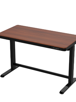 FlexiSpot by Essen 2-Stage Column Single Motor Electric Height Adjustable Desk (E8) with a Drawer and Table Top