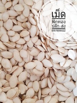 เม็ดฟักทอง เม็ดฟักทองดิบ เม็ดฟักทองอบ เม็ดฟักทองมีเปลือก เม็ดฟักทองอบแกะเปลือก แกะเปลือก ไม่มีเปลือก เม็ดฟักทองพร้อมเปลือก เม็ดฟักทองอบมีเปลือก เมล็ดฟักทอง เม็ดฟักทองดิบมีเปลือก มีทั้งแบบอบแล้ว และ แบบดิบค่ะ