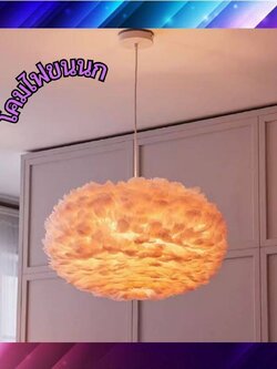 CT191A154 SOTMIA โคมไฟขนนก โคมไฟแต่งห้อง