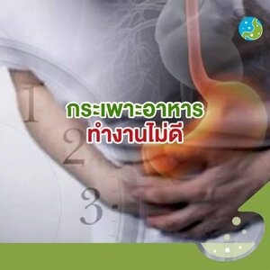 กรดในกระเพาะอาหาร สำคัญไฉน?