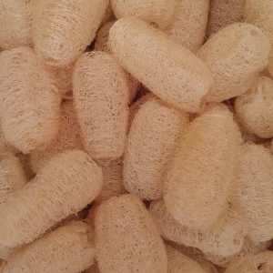 ผลิตภัณฑ์เสริม (Supplement Material)