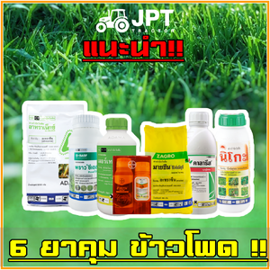 แนะนำให้ลอง 6 ยาคุมข้าวโพด ที่ได้ผลดีที่สุดในท้องตลาดตอนนี้!!