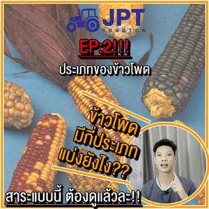 Ep2: รู้หรือไม่?? ข้าวโพดมีกี่ประเภท เค้าแบ่งกันยังไง แบ่งกันแบบไหน ไปดูกัน