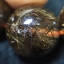 ไหมเศรษฐีจักรพรรดิ์ 12.5 mm