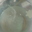 หัวเชื้ออาหารสด หนอนจิ๋ว / Micro worm