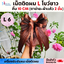 เน็ตติดผม (M-L) โบว์ติดผมพนักงาน เนตติดผมพยาบาล คลุมผมพนักงาน สุภาพ ถูกระเบียบ ใช้ในราชการ/เอกชน งานไทย