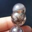 เดรนไดรต์ควอทซ์ (Dendrite Quartz) 16.5 mm