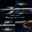 Santa maria bleeding heart endler 1คู่ (ผู้+เมีย)