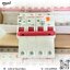 RCBO 4P/300mA. 16A/25A/32A/40A/50A/63A ชิ้น 2024-06-19 15:55:00 2025-05-30 09:48:40