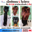เน็ตติดผม (M-L) โบว์ติดผมพนักงาน เนตติดผมพยาบาล คลุมผมพนักงาน สุภาพ ถูกระเบียบ ใช้ในราชการ/เอกชน งานไทย
