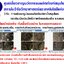 jc โหย่งเหิง ขวดใหญ่ 730cc ยาน้ำสมุนไพรจีน ขับล้างสารพิษในร่างกาย บำบัด บำรุงร่างกายและสร้างเซลล์ที่สึกหรอ 730 CC