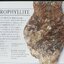 แอสโทรฟิลไลต์ Astrophyllite แร่หายาก ขนาด 12 mm AAA++