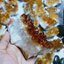 ก้อนพลอยซิทริน (Citrine) คุณภาพดีที่สุด สีเหลืองทองเข้ม ประกายวิบวับ