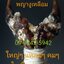 เดือยงูเหลือม เครื่องรางอาถรรพ์ ด้านโชคลาภ ทำมาหากิน และเสี่ยงโชค ลาภลอย (ของแท้ หายาก) (โทรสอบถามครับ)